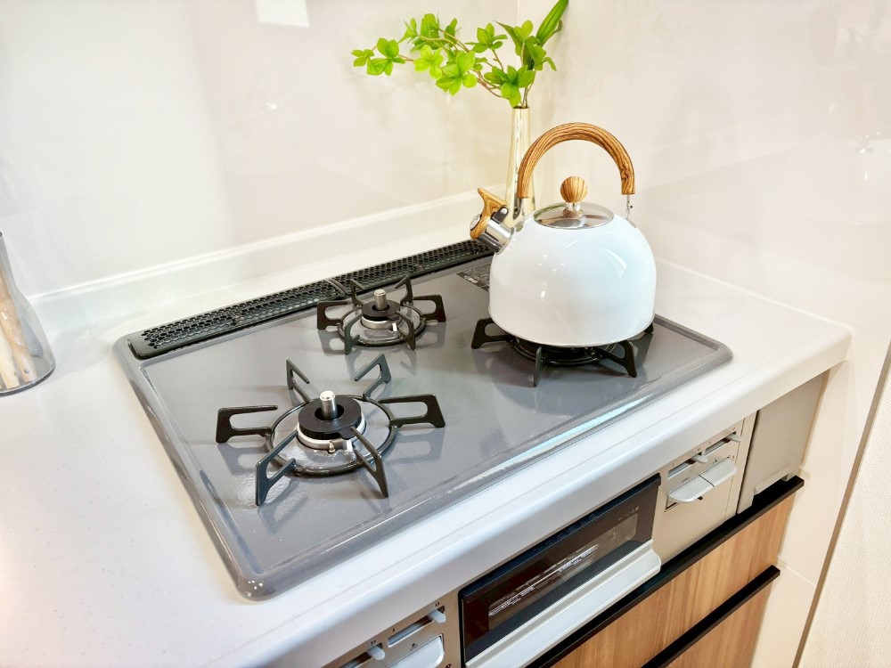 ���̑����� �O���K�X�R�����ł���������C�ɂ͂��ǂ肻��  