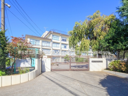 ӊ wZ 650m n旧xm䏬wZ