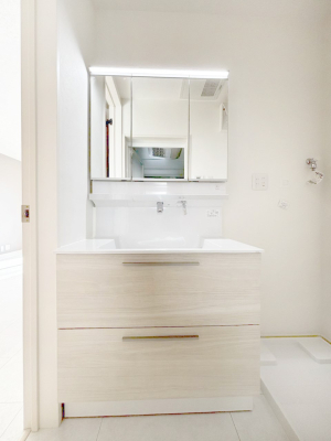 ���ʑ�E���ʏ� �X�^�C�����O�ɕ֗��ȎO�ʋ��A�~���[�L���r�l�b�g�ōׂ������X�b�L��