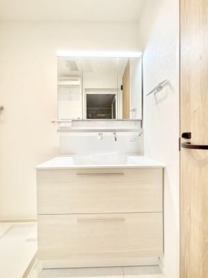 ���ʑ�E���ʏ� �X�^�C�����O�ɕ֗��ȎO�ʋ��A�~���[�L���r�l�b�g�ōׂ������X�b�L��