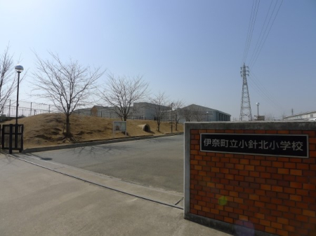 ӊ wZ 800m ɓޒjkwZ