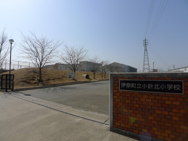 ӊ wZ 800m ɓޒjkwZ