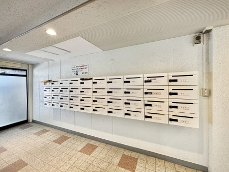 ���̑� �W���|�X�g