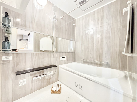 ���� �����������F�����̕ǖʁA������������芰����o�X���[��