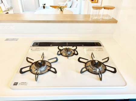 ���̑����� �K�X�R�����͂r���Z���T�[���ځB�Η͒��߂�ł��t���E�����Y����h���ł���܂��B