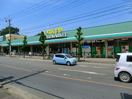 ӊ X[p[ 1000m ȂzV͊ݓX