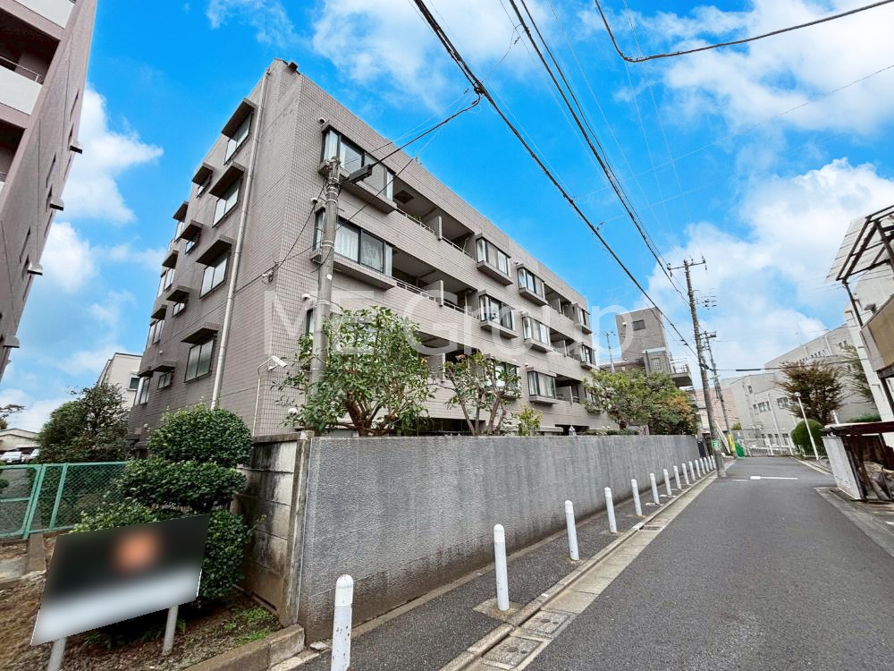 nOώʐ^ Ƃ肪Ί𐶂ސSn悢