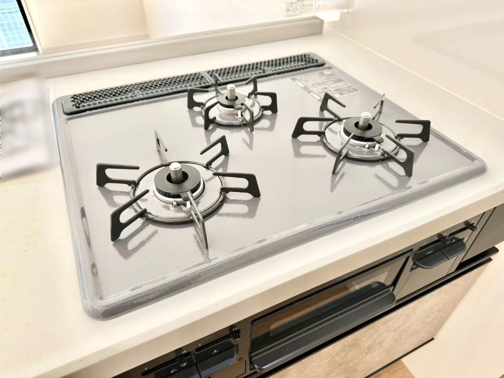 ���̑����� �O���K�X�R�����ł���������C�ɂ͂��ǂ肻��  