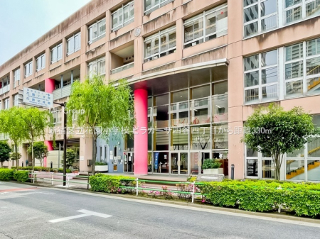 ӊ wZ 330m Vh旧ԉwZ