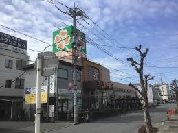 ӊ X[p[ 600m CtJcX