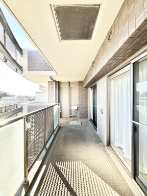 �o���R�j�[ ���ʂ��̗ǂ��o���R�j�[