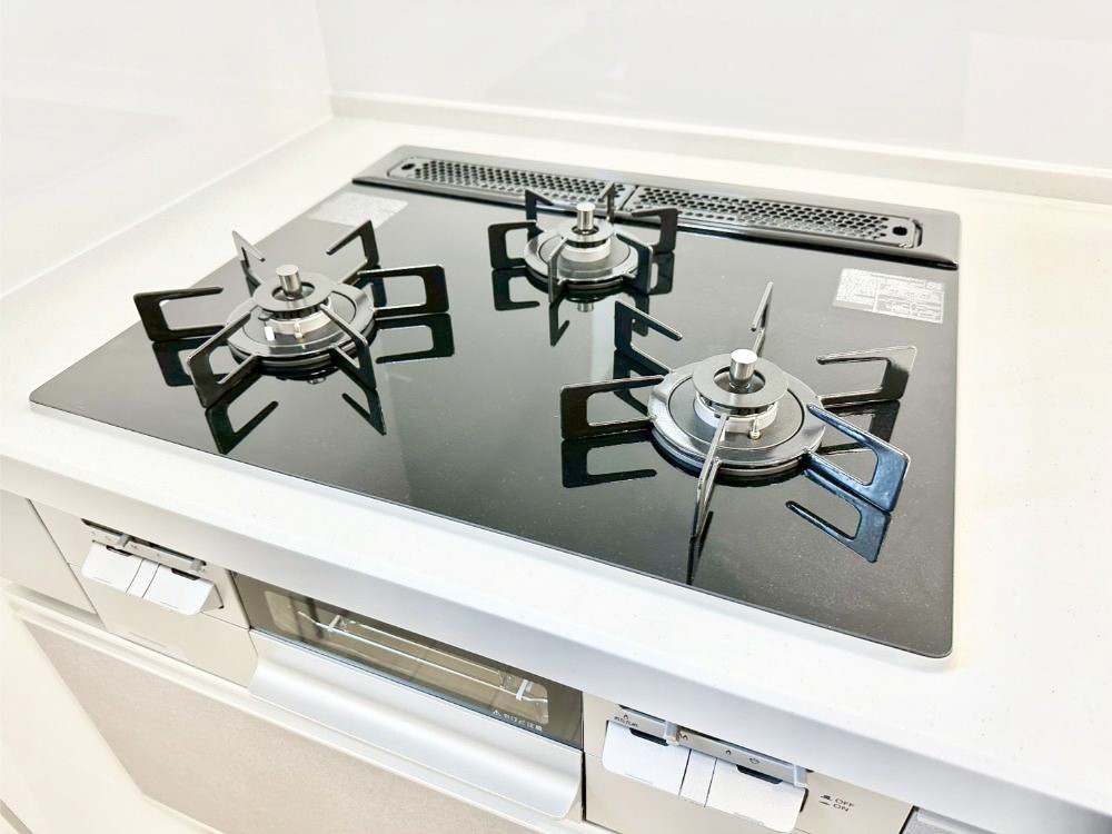 ���̑����� �O���K�X�R�����ł���������C�ɂ͂��ǂ肻��  