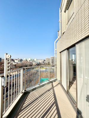 �o���R�j�[ ������̓�������̗ǂ��o���R�j�[  