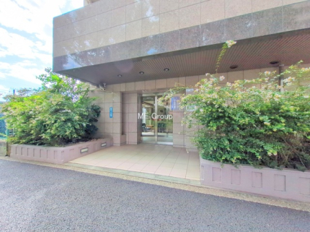 �G���g�����X -