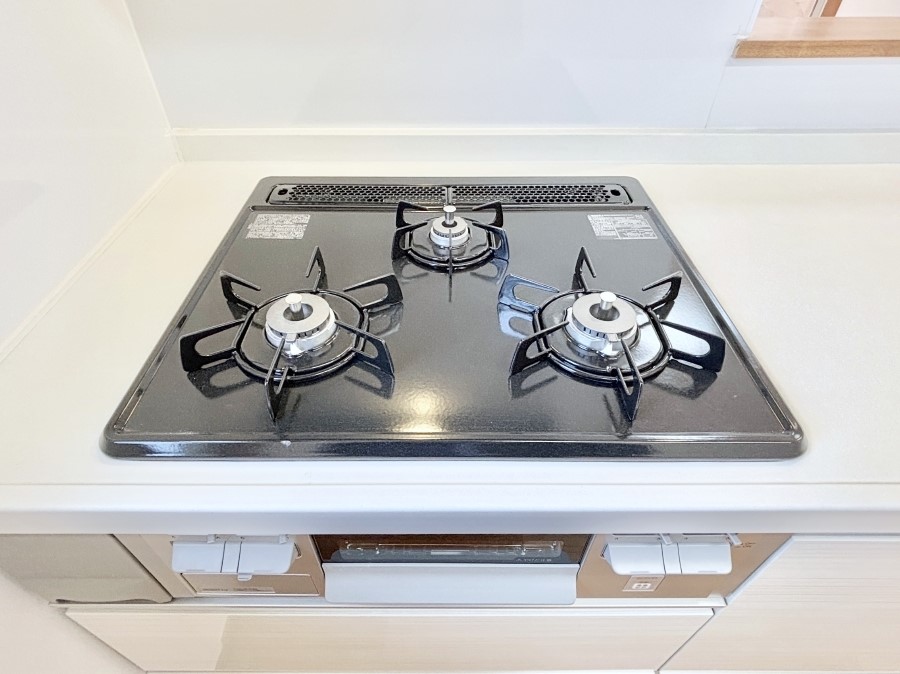 ���̑����� �K�X�R�����͂r���Z���T�[���ځB�Η͒��߂�ł��t���E�����Y����h���ł���܂��B