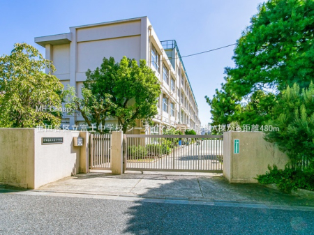 ӊ wZ 480m cJ旧xmwZ