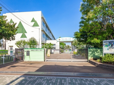 ӊ wZ 710m 旧ۏwZ