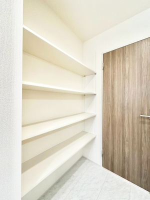 ���ʑ�E���ʏ� ���ʏ��ɂ͒E�߃X�y�[�X���������Ă��܂��B���I�𗘗p���Đ������ڂ��o���܂���