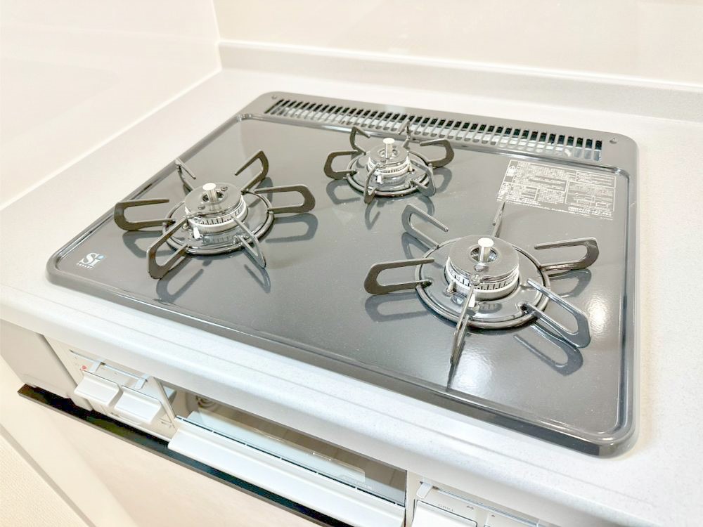 ���̑����� �O���K�X�R�����ł���������C�ɂ͂��ǂ肻���B  