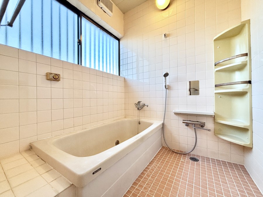 ���� ����̔�����₷��؂ȃo�X�^�C���B�������Ƃ����C���y����Ŕ����Ƃ肽���ł��ˁI  