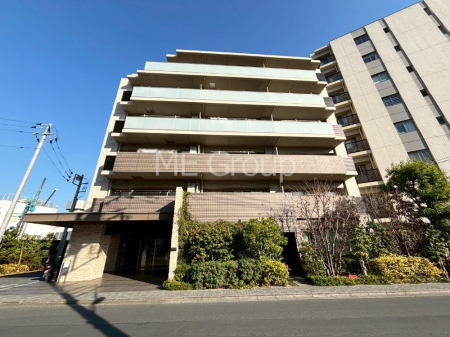 nOώʐ^ Ƃ肪Ί𐶂ސSn悢