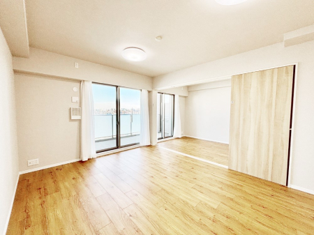 rO 傫ȑ炽Ղ̗zƕ郊rO