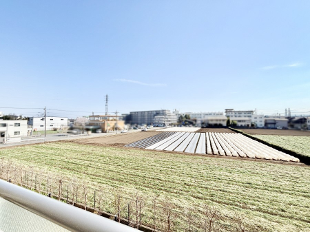 ���̑� ���z�̌b�݂�������ʂ����肠�ӂ���ԁB