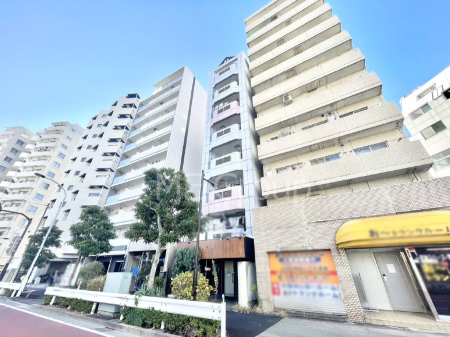 ���n�O�ώʐ^ ����z���ł��Ƒ��̏Ί���P��