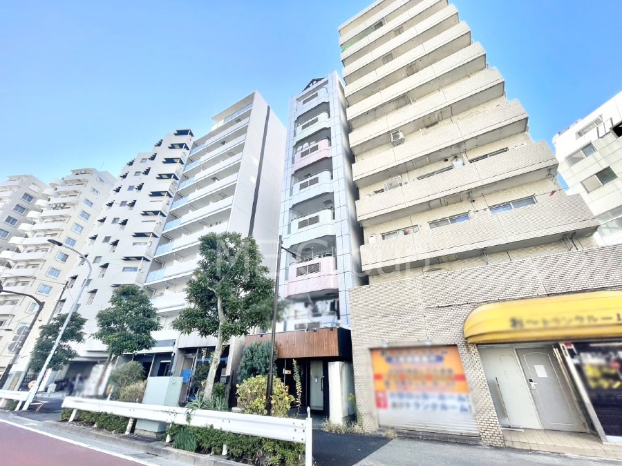 ���n�O�ώʐ^ ����z���ł��Ƒ��̏Ί���P��