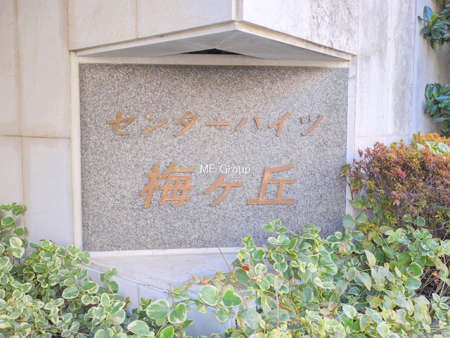 �G���g�����X -