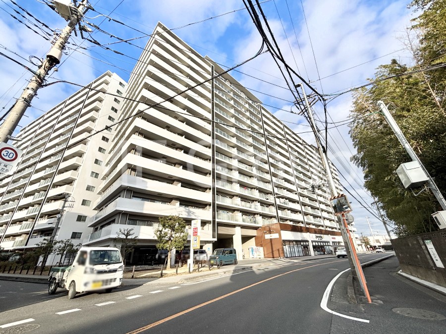 ���n�O�ώʐ^ ��������n�܂�V�����������������܂��I