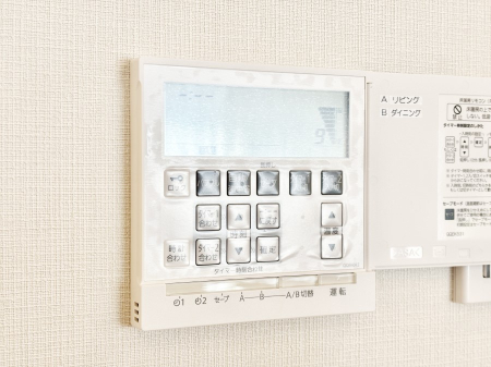 ���̑����� ���g�[�t���œ~���|�J�|�J�B���Ƒ��̌e���̃X�y�[�X�ɂȂ�܂��ˁB