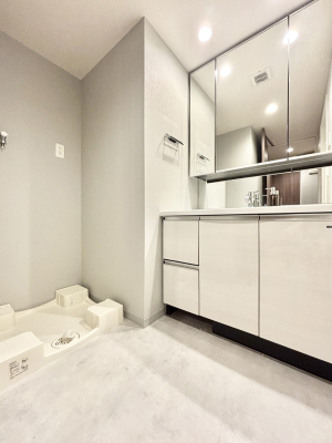 ���ʑ�E���ʏ� �X�^�C�����O�ɕ֗��ȎO�ʋ��A�~���[�L���r�l�b�g�ōׂ������X�b�L��