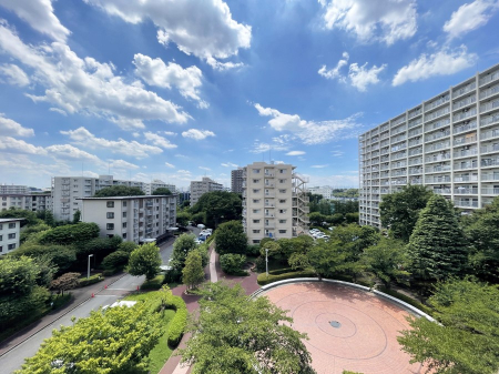 ���̑� ����