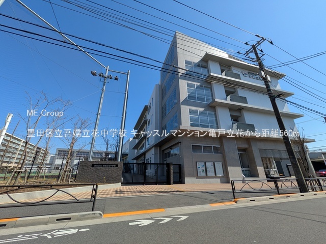 ���ӊ� ���w�Z 560m �n�c�旧��ڗ��Ԓ��w�Z