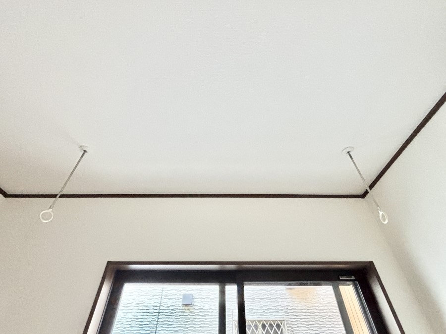 ���̑����� �����������|�[���B�~�J��ԕ��̎����ɑ劈�􂵂܂��B  