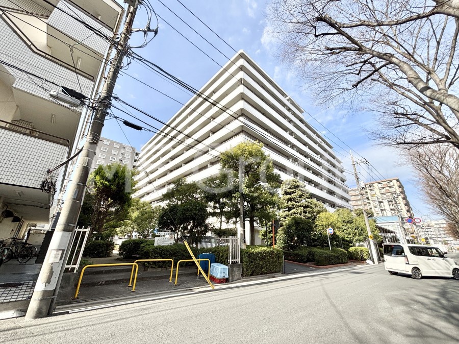 ���n�O�ώʐ^ ��������n�܂�V�����������������܂��I