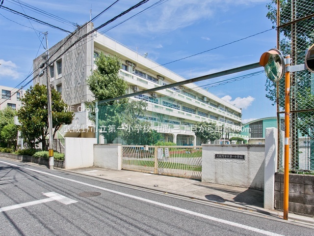 ���ӊ� ���w�Z 480m ������s����ꏬ�w�Z