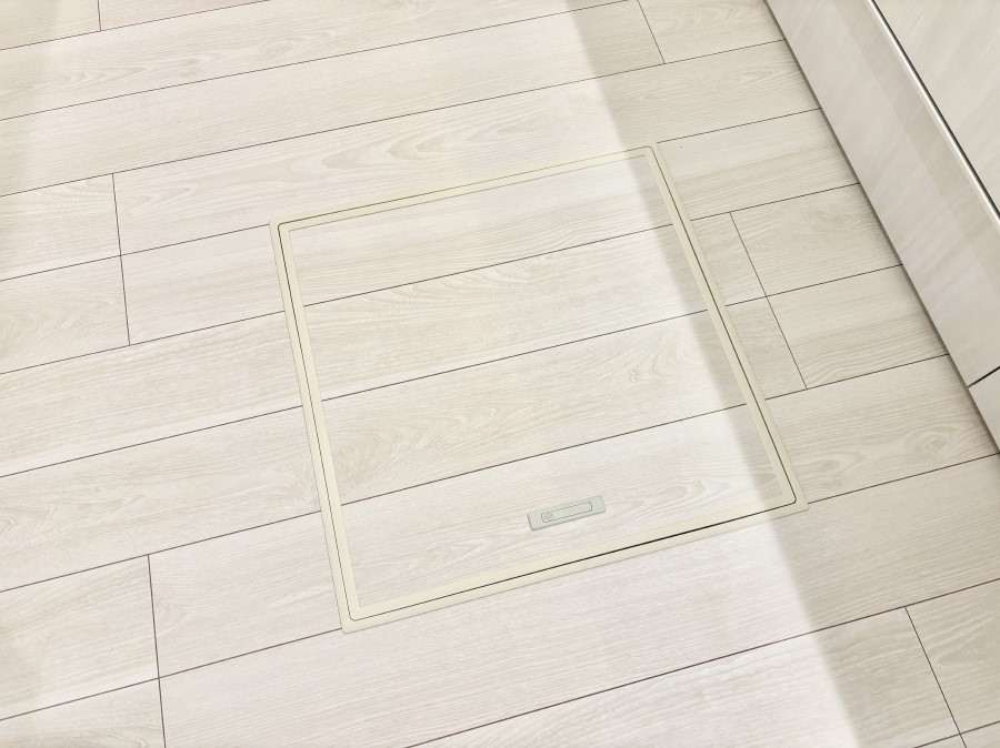 ���̑����� �������[�t���I���p�i�E���p�i�̎��[�ɂ��劈��B