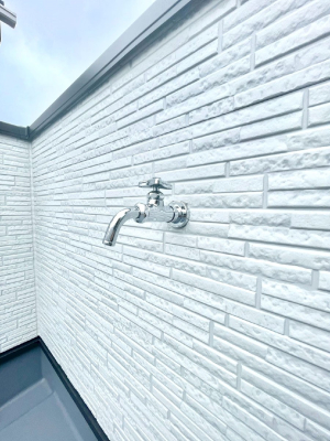 ���̑����� �o���R�j�[����������΂��|�����y�X�ł��B    