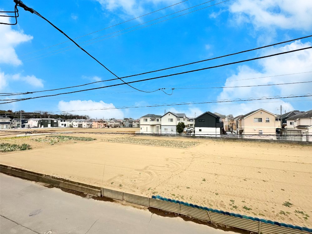 ���̑� �o���R�j�[����̒��]�ł��B�S�n�悢����������ꂻ���ł��ˁI