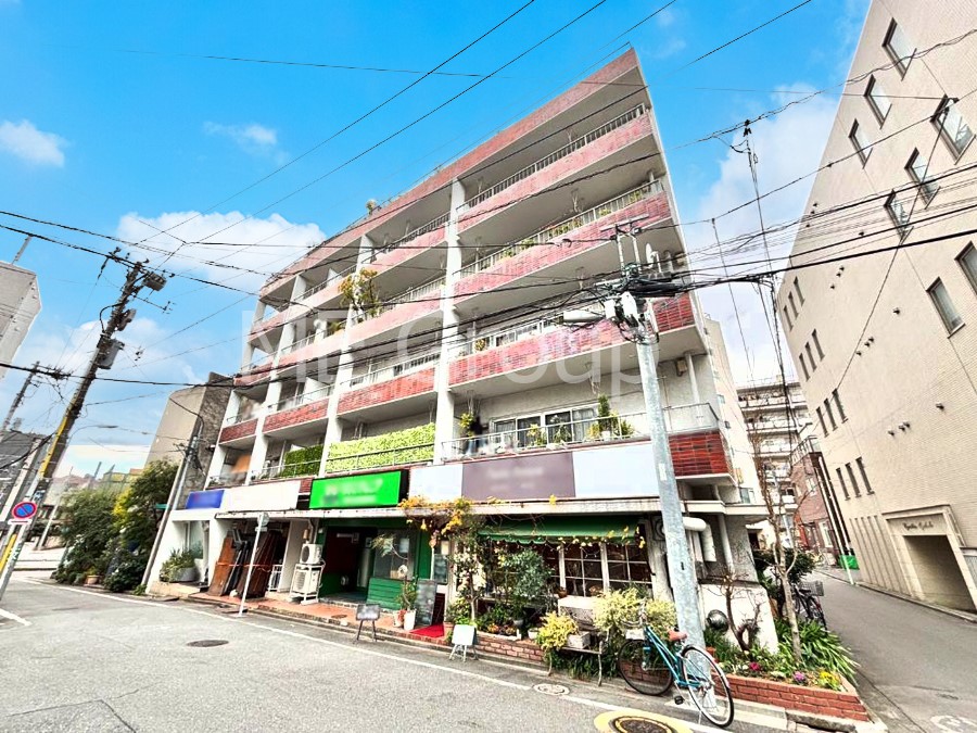 ���n�O�ώʐ^ ��������n�܂�V�����������������܂��I