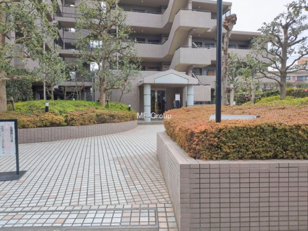 �G���g�����X -