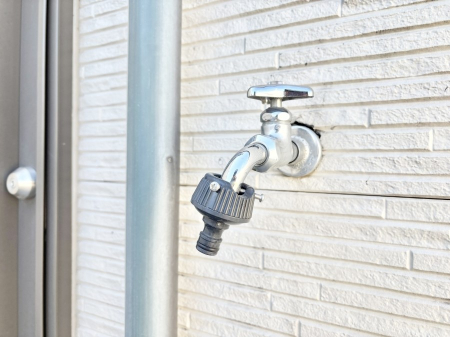 ���̑����� �o���R�j�[����������΂��|�����y�X�ł��B    