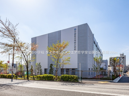 ���ӊ� ���w�Z 300m ����旧�ߘa���w�Z