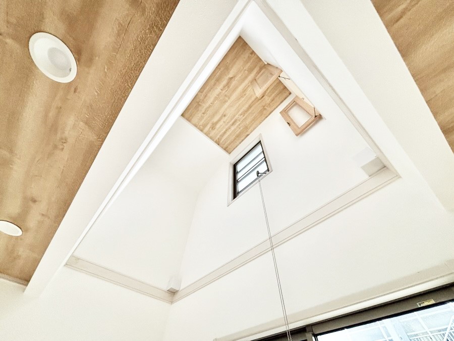 ���̑����� ���邢���������������ސ��������݌v