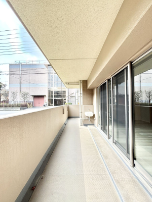 �o���R�j�[ ������̓�������̗ǂ��o���R�j�[  