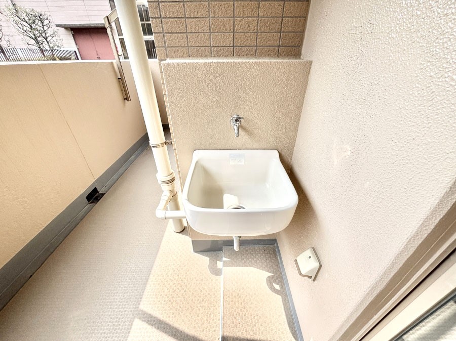 ���̑����� �o���R�j�[����������΂��|�����y�X�ł��B    