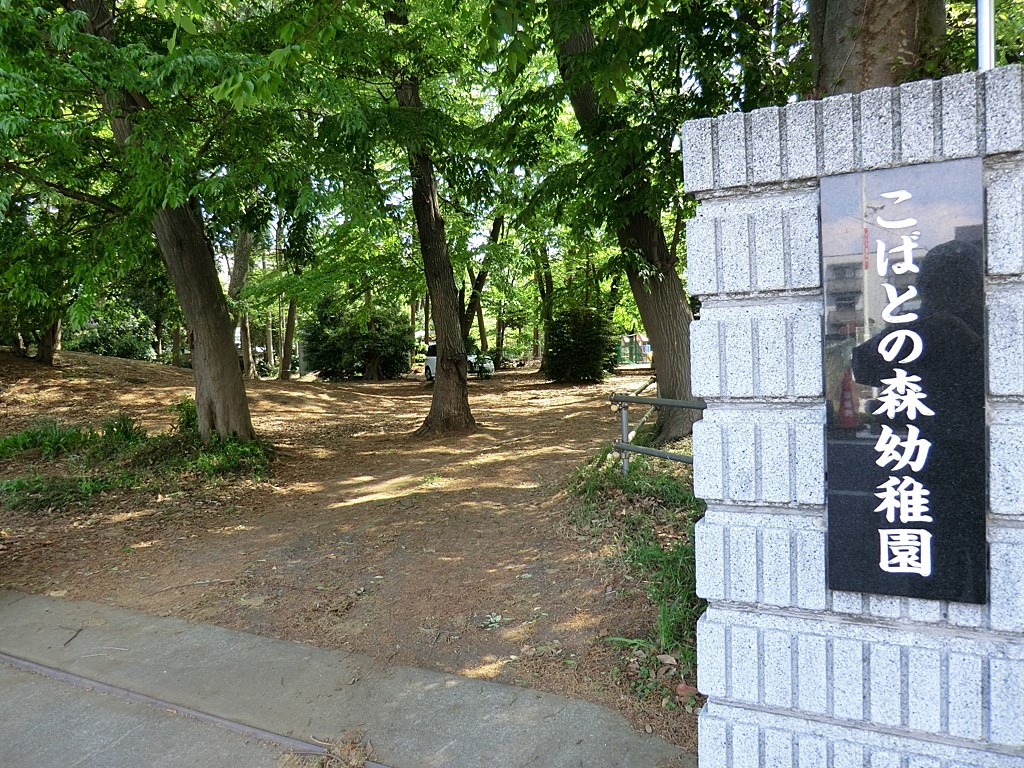 ���ӊ� �c�t���E�ۈ牀 1800m ���΂Ƃ̐X�c�t��