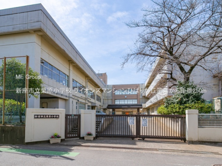 ���ӊ� ���w�Z 250m �V���s���I�����w�Z